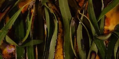 October 14, 2020 – Exhibition: Yimbali – Listening is a form of healing