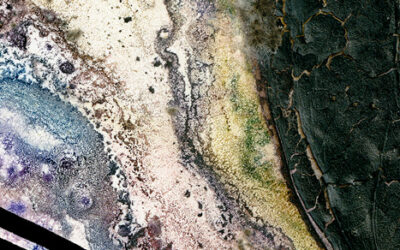 May 16 – July 18, 2021 – In Transitions