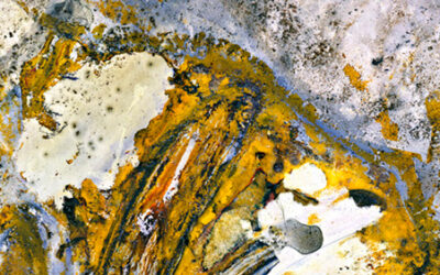 March 27, 2021 – Flora, Melbourne