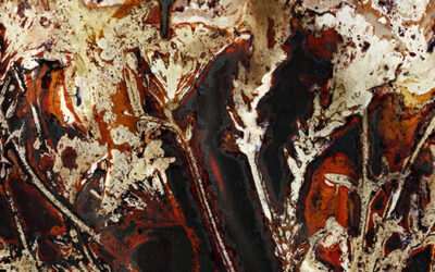 April 17, 2021 – In Situ group exhibition by Plexus Gallery