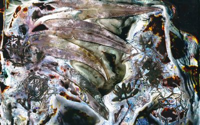 December 1 Multicultural Exhibition