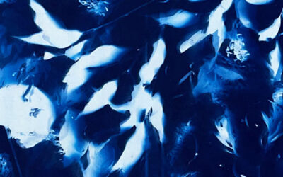 Echoes of Meadows and Shores