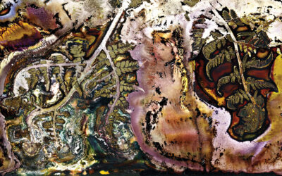 The Art in Nature – World Environment Day conversations