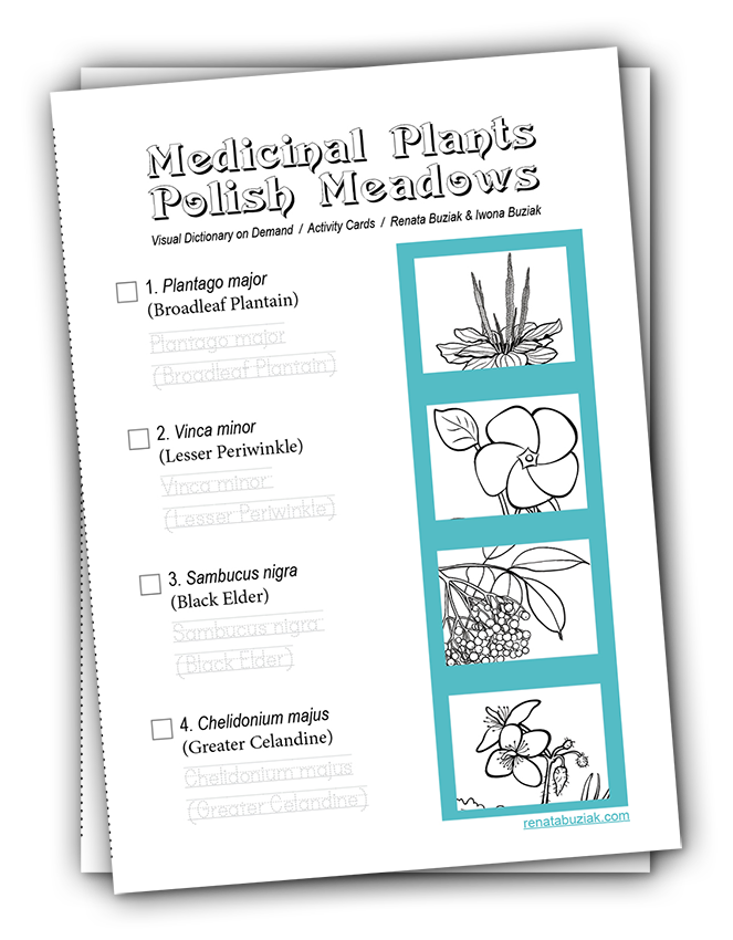 Cover-booklet download-Medicinal plants - A4 - renatabuziak.com-Renata Buziak
