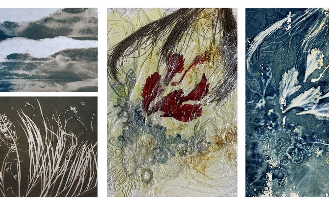 4 small images within a wide banner. 2 images on the left are horizontal, top of a lnadscape impression, bottow of a plant imprint white shape on brown. 2 images on the right are vertical, first shows flower petals and other objects, second is an white impression of those objects on blue backgraound.