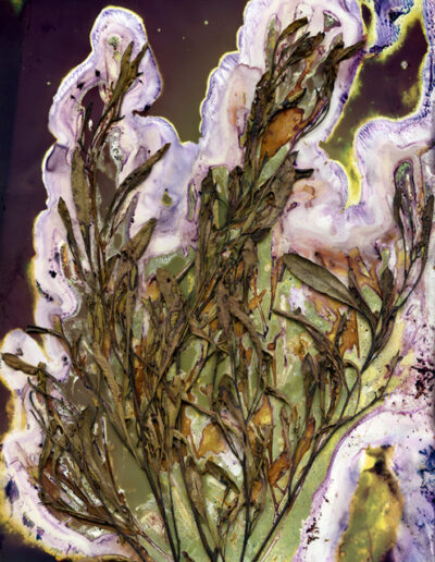 Plant branches appearing like a tree on light green and dark move background.