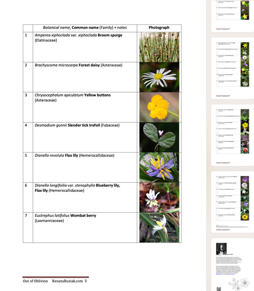 Wildflowers-Photo-Guide-pages-images-renatabuziak.com