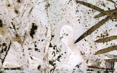 Revisiting Pine Rivers Gardens in Biochromes, solo exhibition