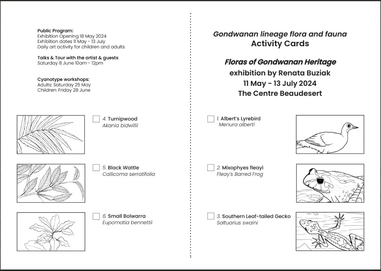 Art activity cards - Gondwana 2024 update-Renata Buziak