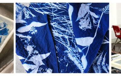 Discover Cyanotype: Botanical Blueprints