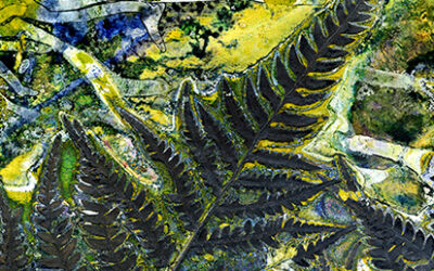 Brisbane Gramma Art Show