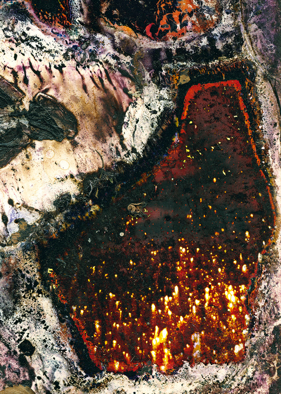 Renata Buziak, "Backyard Bonfire" Abstract image with organic dark shapes, and deep red and impressions of a fire