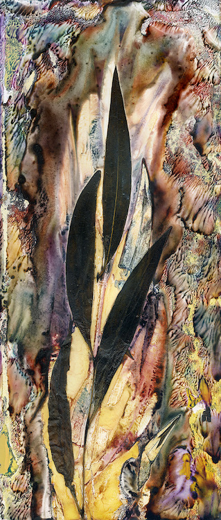 long narrow leaves in the centre of a tall and narrow image with a clourful, warm, organic background 