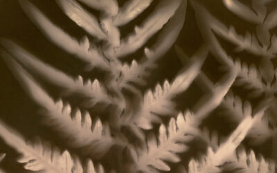 Hill End Analogue Photography Festival