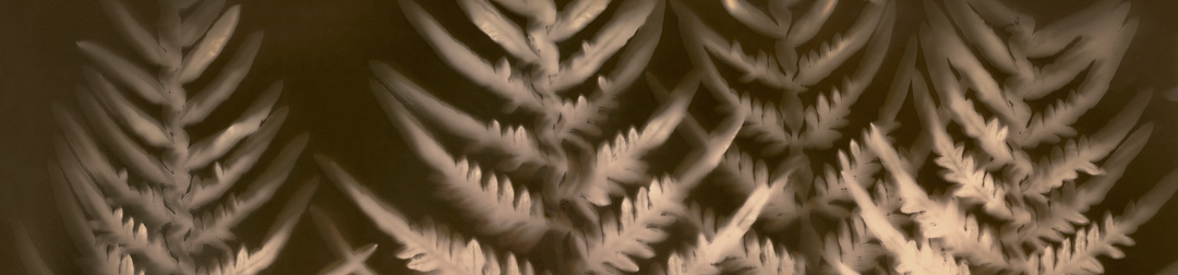 Hill End Analogue Photography Festival