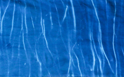 Aqua Limina: Pulse of Water, Creek to Coast