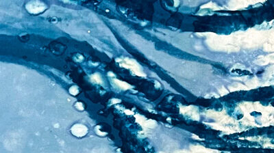 Aqua Limina: Pulse of Water, Creek to Coast