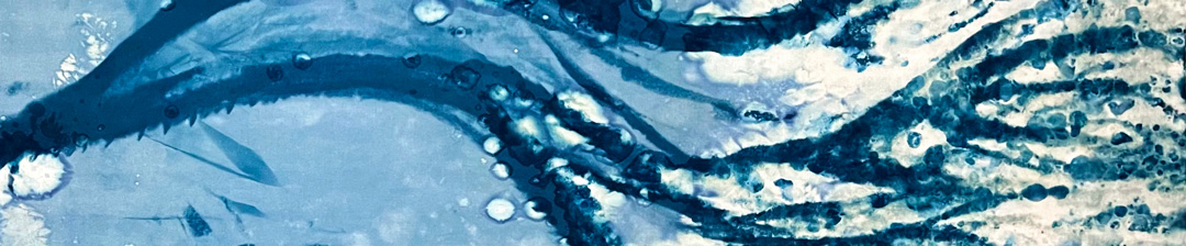 Aqua Limina: Pulse of Water, Creek to Coast