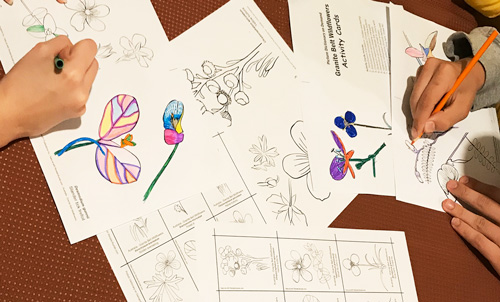 Art activity: Wildflowers of the Granite Belt, Renata Buziak